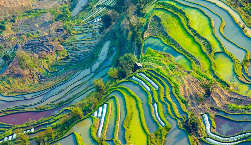 西区企业宣传片制作